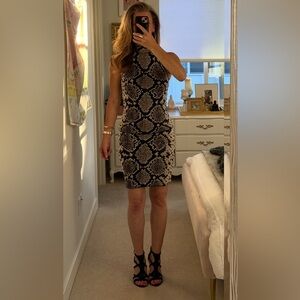 Zara Iconic Black and Brown Snake Print Set